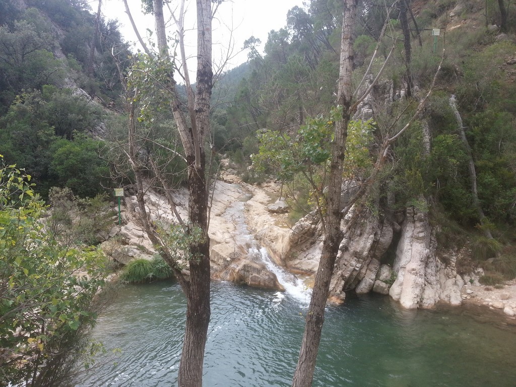 20151004_111919