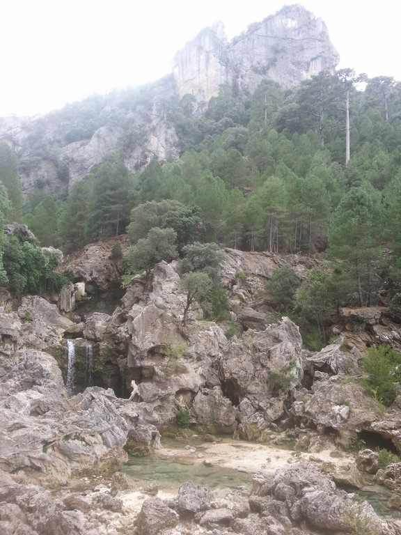 20151004_144534