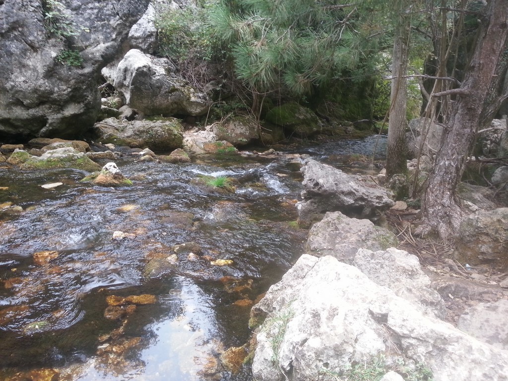 20151004_161219