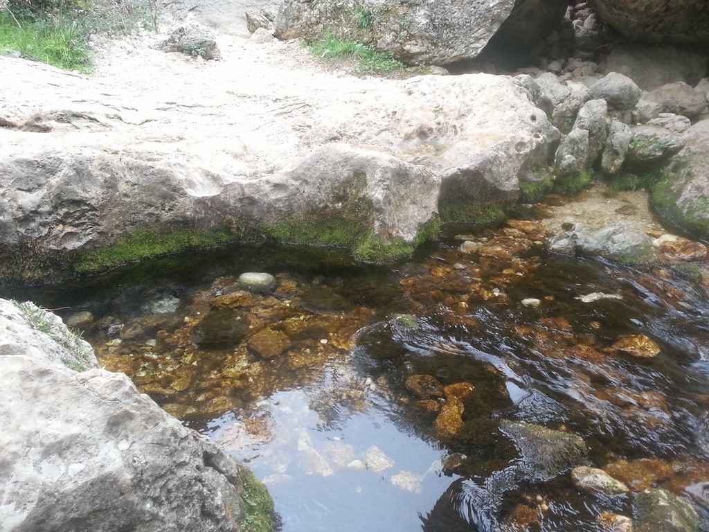 20151004_161233