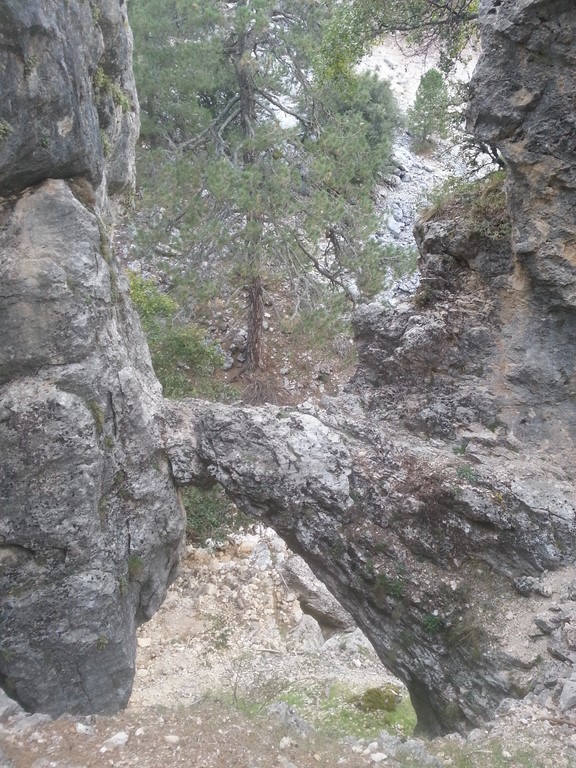 20151004_173616